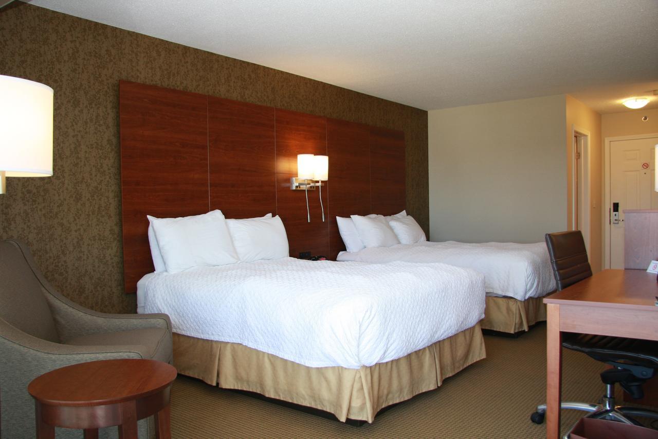 Queen Room Two Queen Beds,654240261:JPEG
